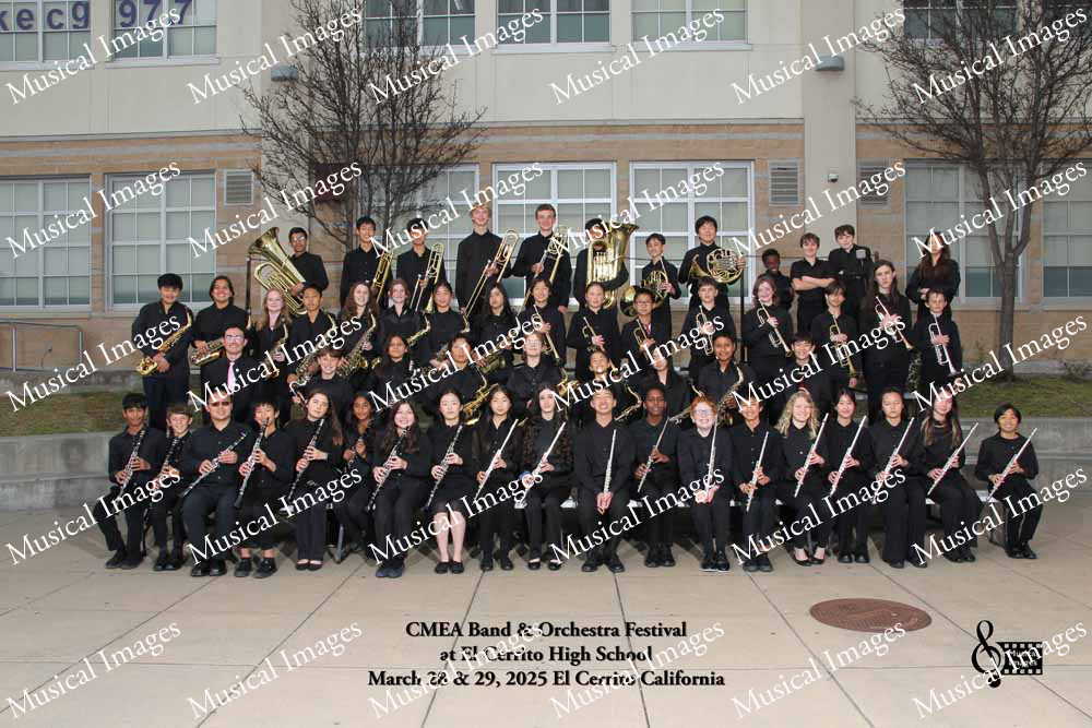 Musical Images
